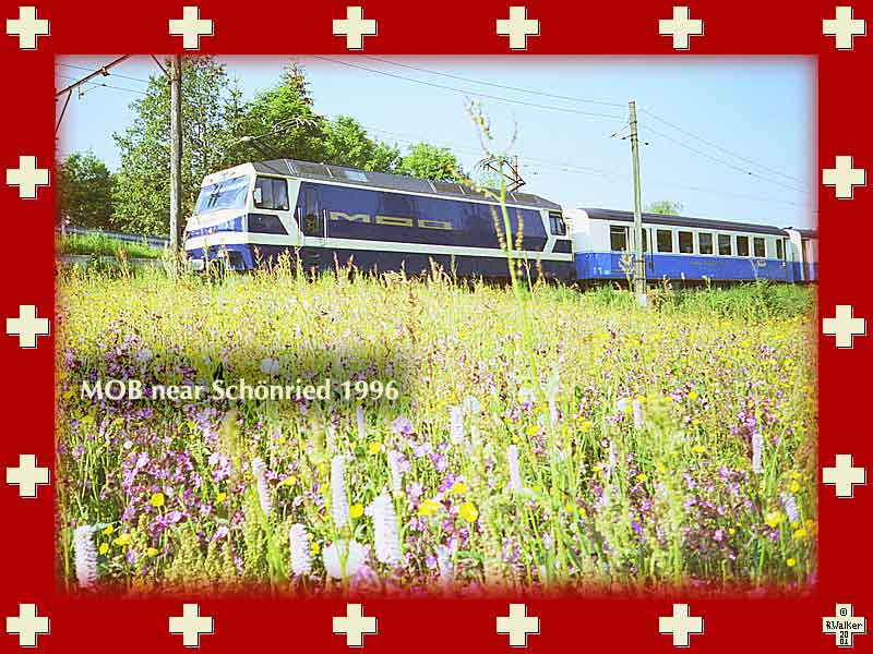 The MOB near Schönried 1996