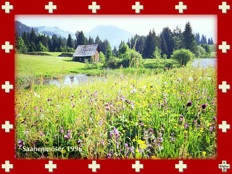 Marshy bottomland with barn at Saanenmöser, 1996
